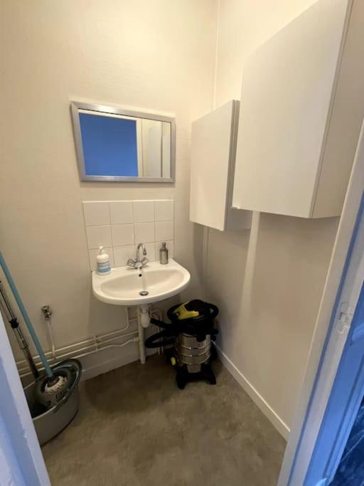 Agreable Maison De Ville Dans La Plus Belle Avenue 奥尔良 外观 照片